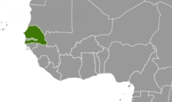 Senegal, dts Nachrichtenagentur