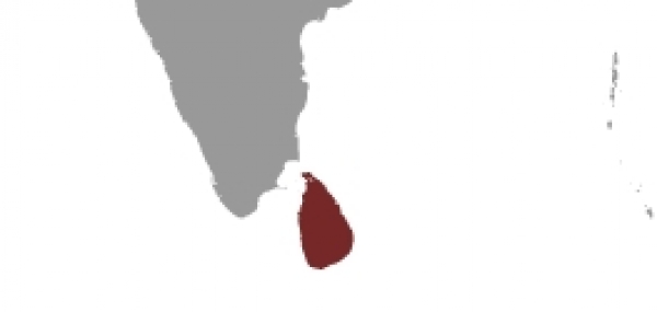 Sri Lanka, dts Nachrichtenagentur