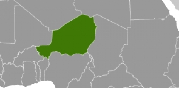 Niger, dts Nachrichtenagentur