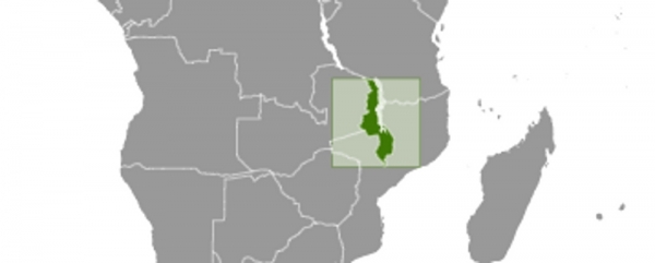 Madagaskar, dts Nachrichtenagentur