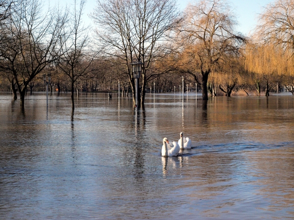 Hochwasser, dts Nachrichtenagentur