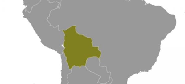 Bolivien, dts Nachrichtenagentur