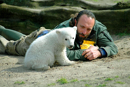 Eisbär Knut mit seinem Pfleger (Archivfoto: Markwaters | Dreamstime.com)