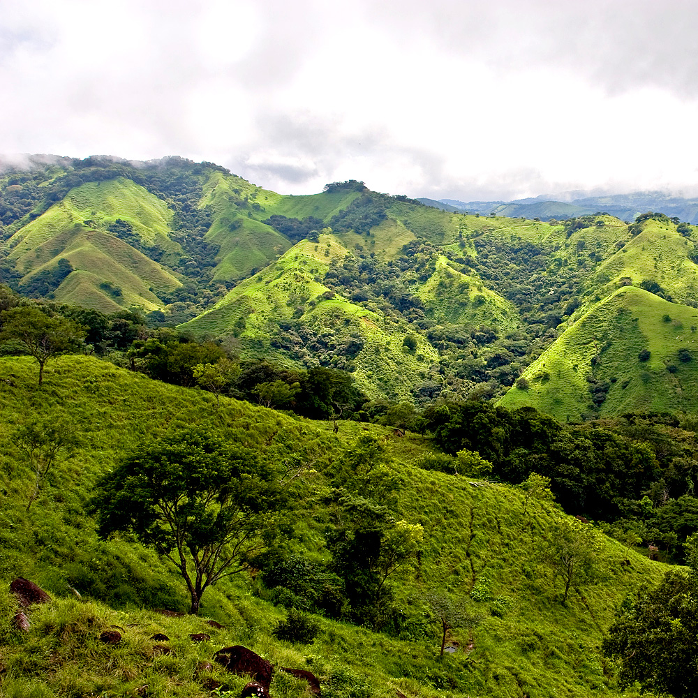 Monteverde in Costa Rica (Foto: António Jorge Nunes | Hemera | Thinkstock)