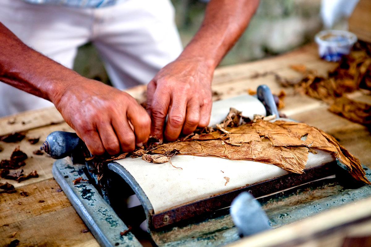 Herstellung kubanische Zigarren