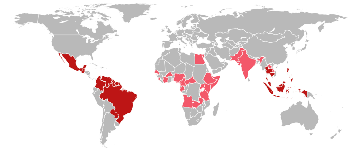 Hauptverbreitungsgebiete des Zika-Virus 