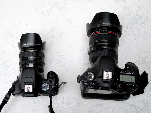 DSLR: Canon 550d und Canon 7D - moderne Spiegelreflexkameras