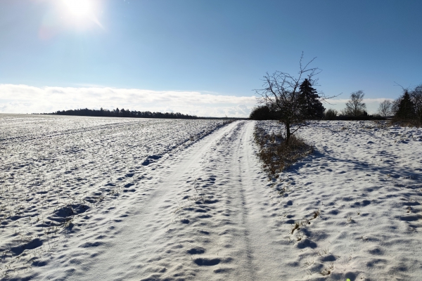 Die Ruhe vor dem Sturm: Schnee im Norden Brandenburgs, über dts Nachrichtenagentur