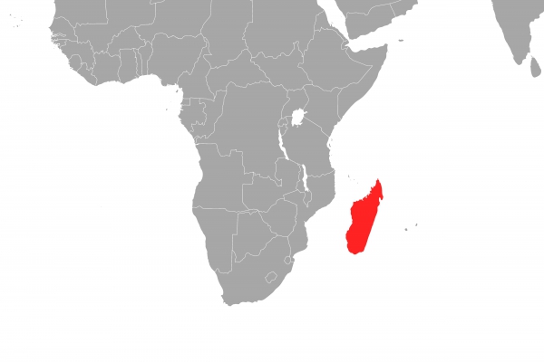 Madagaskar, über dts Nachrichtenagentur