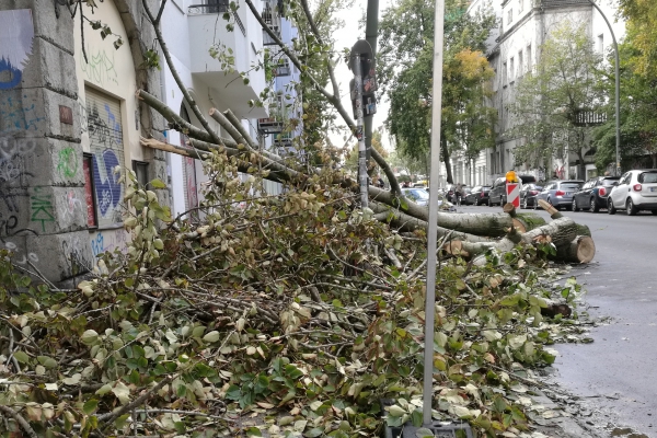 Schäden nach Sturm, über dts Nachrichtenagentur