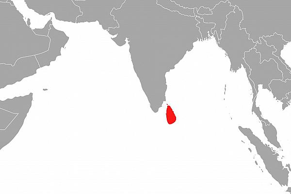 Sri Lanka, über dts Nachrichtenagentur