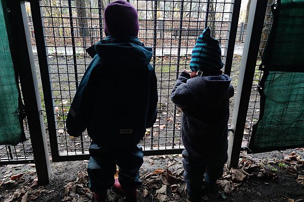 Kinder hinter einem Gitter, über dts Nachrichtenagentur