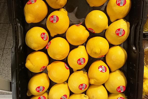 Zitronen, über dts Nachrichtenagentur