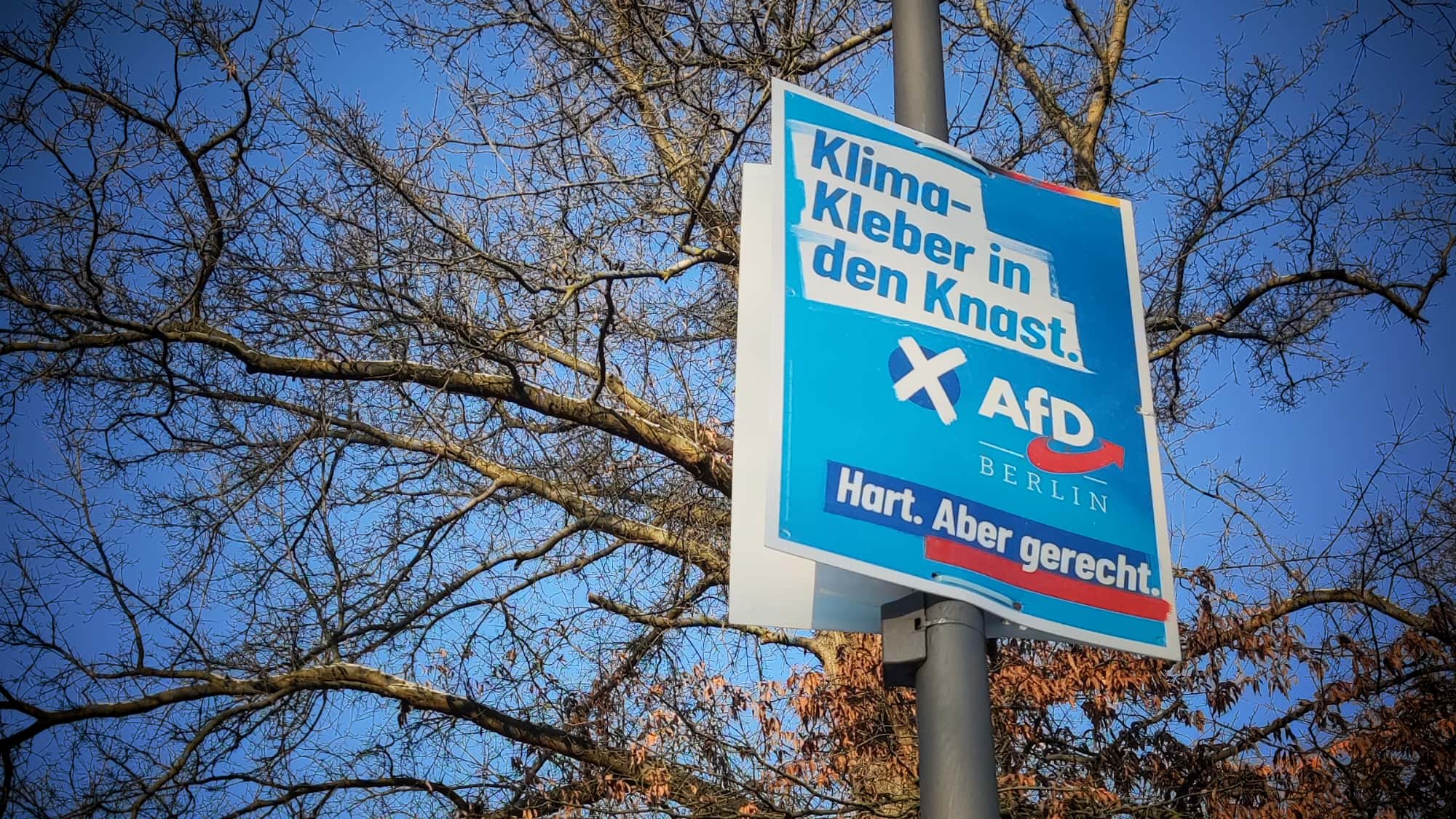 AfD-Wahlplakat 