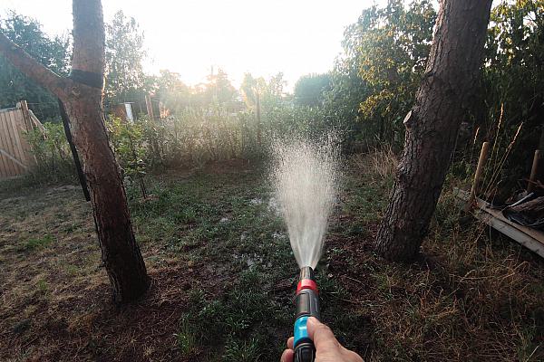 Rasen wird mit Wasser besprengt, über dts Nachrichtenagentur