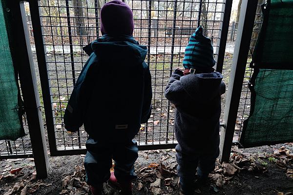 Kinder hinter einem Gitter (Archiv), über dts Nachrichtenagentur