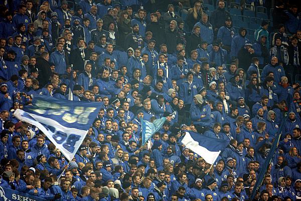 Schalke-Fans (Archiv), über dts Nachrichtenagentur