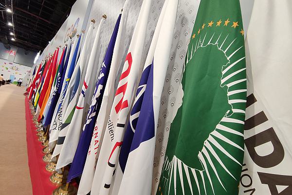 Flagge der Afrikanischen Union beim G20-Gipfel in Indien am 08.09.2023, über dts Nachrichtenagentur