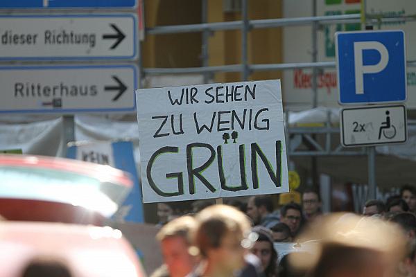 Protest von Fridays-For-Future (Archiv), über dts Nachrichtenagentur