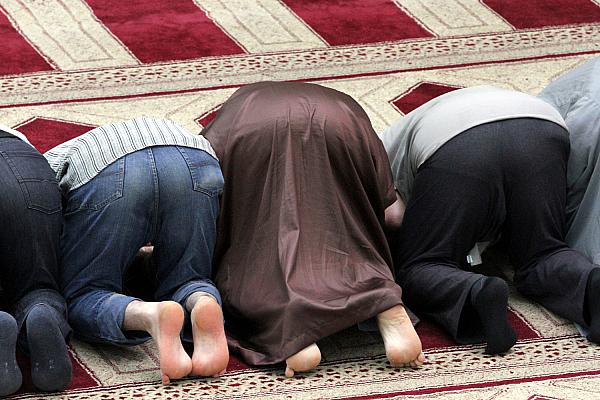 Gläubige Muslime beim Gebet in einer Moschee (Archiv), über dts Nachrichtenagentur