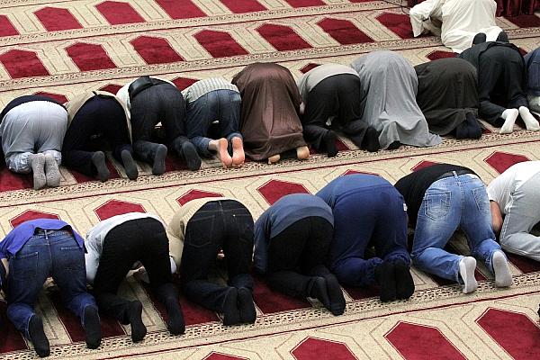 Gläubige Muslime beim Gebet in einer Moschee (Archiv), via dts Nachrichtenagentur