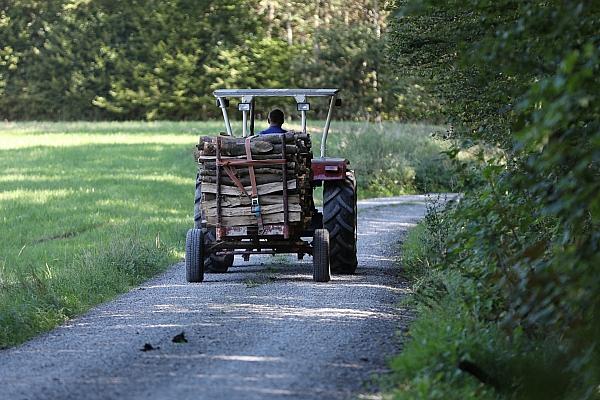 Holztransport mit einem Traktor (Archiv), via dts Nachrichtenagentur