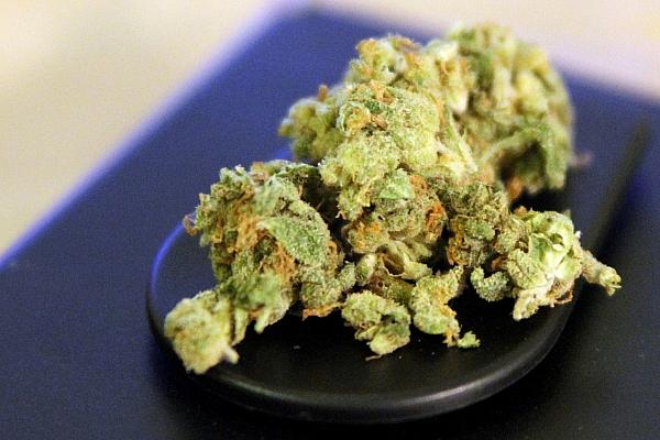 Cannabis (Archiv), via dts Nachrichtenagentur