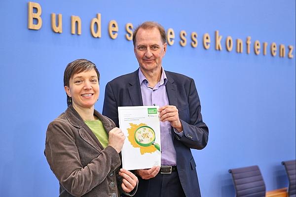 Vorstellung der Studie