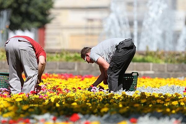 Gartenarbeiter auf einem Blumenbeet (Archiv), via dts Nachrichtenagentur